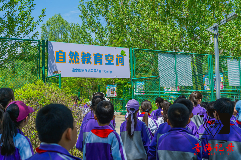 湿地变课堂 实验学科学——西宁市文汇小学60名学生走进湟水国家湿地公园开展科技周科普研学